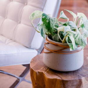 Producto de prueba DOS